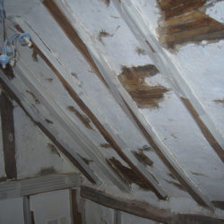 haired chalk plastering suffolk